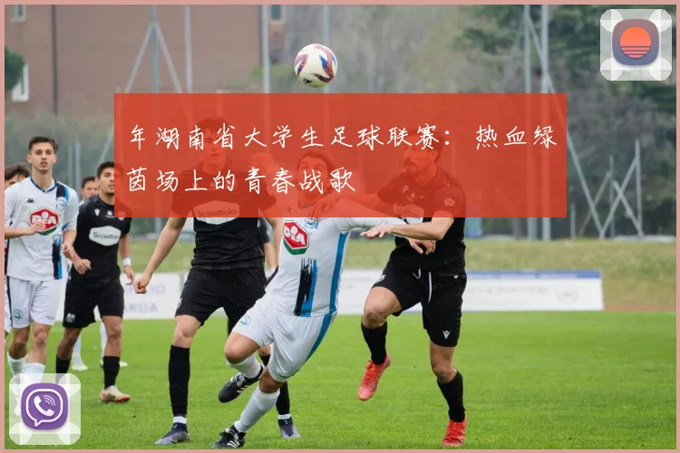 年湖南省大学生足球联赛:热血绿茵场上的青春战歌