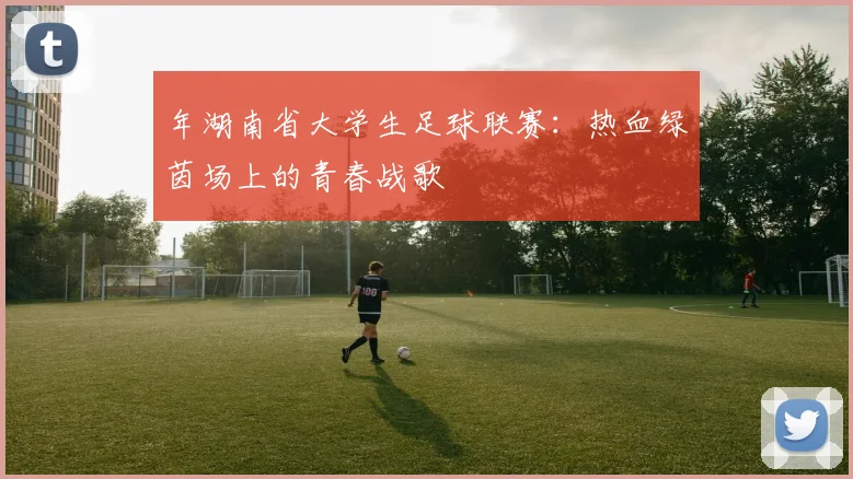 年湖南省大学生足球联赛:热血绿茵场上的青春战歌